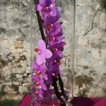 Sur des nappes de buffet couleur fuchsia, orchidées roses dans des vases transparents.