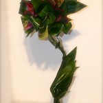 Valse des feuilles, composition formée de feuilles travaillées : aspidistra et cordyline.