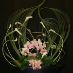 Artemis ou Diane: les volutes de steel grass sont l'arc pour la chasse. Accompagnées d'arums, d'orchidées phalaenopsis et de feuilles d'aspidistra. 