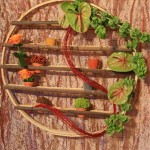 Sur une roue présentoir à épices, jeu d'anthuriums vert et de molucelle, appelée aussi clochette d' Irlande.