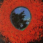 Miroir, 1999 : eau, sorbes,osier, brins d'herbe. Les sorbes sont les fruits comestibles du Sorbier