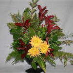 Les dahlias sont les fleurs d'automne aux couleurs éclatantes.