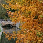 De nombreux petits ponts enjambent la rivière.