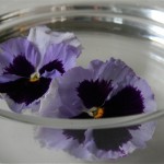 Simple décor de pensées qui flottent dans une coupe en verre.