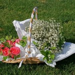 Simple bouquet de gypsophile pour la mariée, boutonnière blanche pour le marié et  roses pour la famille.