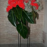 Dans la grande cheminée, un bouquet de célosies rouges et de feuilles de philodendron Red beauty.
