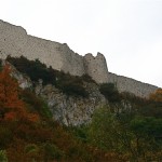 Les murailles du château de Peyrepertuse se détachent au dessus des végétaux aux couleurs d'automne.