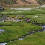 Parmi les champs de linaigrette du Landmannalaugar, baignade dans les sources d'eau chaude.