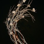 Sculpture de Mitsumata et fleurons de phalaenopsis couleur de neige. Société Lyonnaise d'Horticulture.