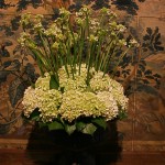 Composition d'hortensias et Ornithogallums arabicum appelées aussi Etoiles de Bethléem. Dans le vestibule,le bouquet reprend les couleurs de la tapisserie du XVII ème siècle représentant des scènes de chasse.