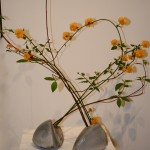 Duo de vases en raku et branches de Kerria japonica.
