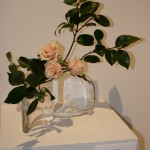Caresses : branches de camellia et roses délicates dans des vases en verre.