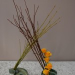 Composition Ikebana sur duo de coupes basses :  branches de saule et cornus avec des roses jaunes. 
