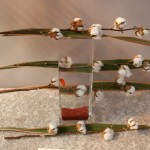 Sur un vase transparent : des lignes en fleurs de coton et feuilles de Phormium tenax.