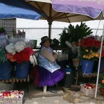 Couleurs du marché aux fleurs de Cuenca devant l'église El Carmen de la Asuncion.C'est à Cuenca que l'on fabrique les Panamas, célèbres chapeaux,avec les frondes fibreuses d'un palmier qui pousse en Equateur.