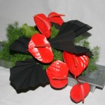 Anthuriums rouges et papier noir: contrastes de couleur et de textures.