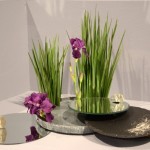 Jardin japonais, Monaco 2012. Jeux de miroirs avec des iris, fleurs et feuillage.