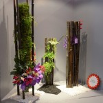  Bambous et cascades de fougère Adiantum, orchidée et gloriosa . Un jardin vertical Monaco 2012