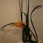 Branches travaillées de  Cornouiller noir et orchidées Vanda dans des vases en verre. Annick Jambou.