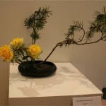 Variation inversée, ici réalisée avec des branches de pin et des roses.  Denise Corbin.