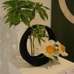 Composition emblème de l'école Sogetsu dans un vase lune. Pivoines arbustives et aucuba. Nicole Dineur.