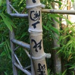 Le bois de bambou est très dur et très résistant, il a de nombreuses utilisations. 