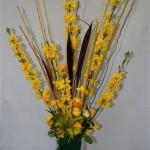 Le forsythia est le végétal qui annonce le printemps au jardin tout comme les fleurs jaunes de la corète du japon.