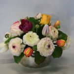 Tulipes et renoncules dans un arrangement rempli de fraîcheur printanière.