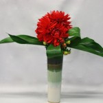 Les dahlias cactus sont  groupés en masse sur le vase.